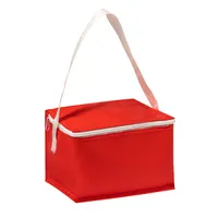 Nevera de PVC Coolcan 4 l con cremallera y bandolera de PVC/ aluminio, detalle 1