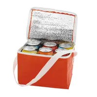Nevera de PVC Coolcan 4 l con cremallera y bandolera de PVC/ aluminio, vista lateral