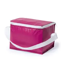 Nevera de PVC Coolcan 4 l con cremallera y bandolera de PVC/ aluminio, vista frontal