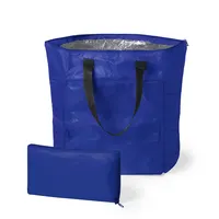 Bolsa nevera de poliéster Daniels 190T con asas de nylon de poliéster 190T/ aluminio, detalle 1