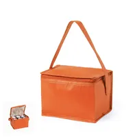 Nevera non woven Hertum 4 l con bandolera de non-Woven/ aluminio, vista frontal