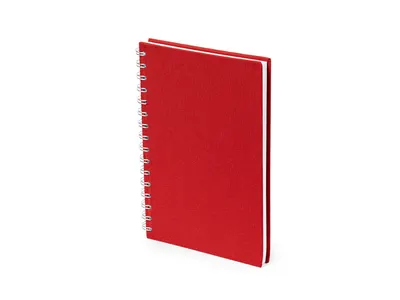 Libreta A5 de anillas RPET 300D, 100 hojas personalizable