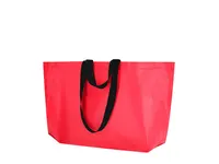 Bolsa de pp woven Torvik laminado doble asa 44 y 77 cm de PP-Woven, detalle 1