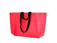 Bolsa de pp woven Torvik laminado doble asa 44 y 77 cm de PP-Woven, vista frontal