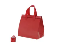 Bolsa nevera non woven laminado Luzan 6 l con velcro de non-Woven laminado/ aluminio, vista frontal