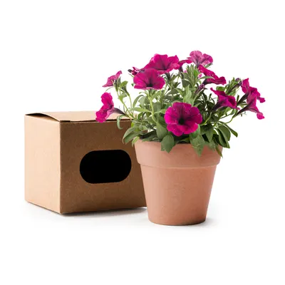 Kit de cultivo de petunias Volen con maceta personalizable