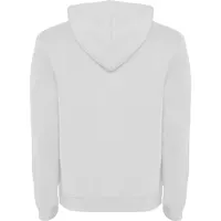 Sudadera Urban con capucha forrada 280 g de 50% algodón / 50% poliéster, 280 g/m², detalle 1