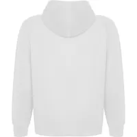 Sudadera Vinson con capucha orgánico reciclado 300 g de 65% algodón peinado (57% orgánico) / 35%, detalle 1