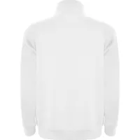 Sudadera media cremallera cuello alto Aneto 280 g de 50% algodón / 50% poliéster, 280 g/m², detalle 1