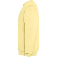 Sudadera de algodón Jaya efecto lavado 250 g de 100% algodón, 250 g/m², detalle 2