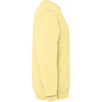 Sudadera de algodón Jaya efecto lavado 250 g de 100% algodón, 250 g/m², detalle 3