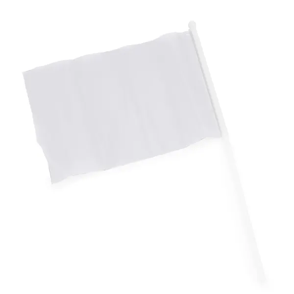 Banderín de mano Celeb 50 g con mástil en blanco de poliéster 170T (50 g/m²), vista frontal