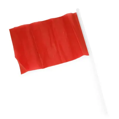 Banderín de mano con mástil personalizable