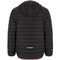 Parka acolchada deportiva Norway Sport con capucha 290 g de exterior: 100% poliéster, 300T, detalle 1