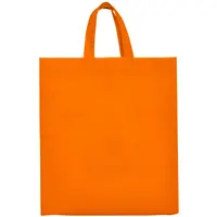Bolsa non woven termosellada Lake 100 g con fuelle